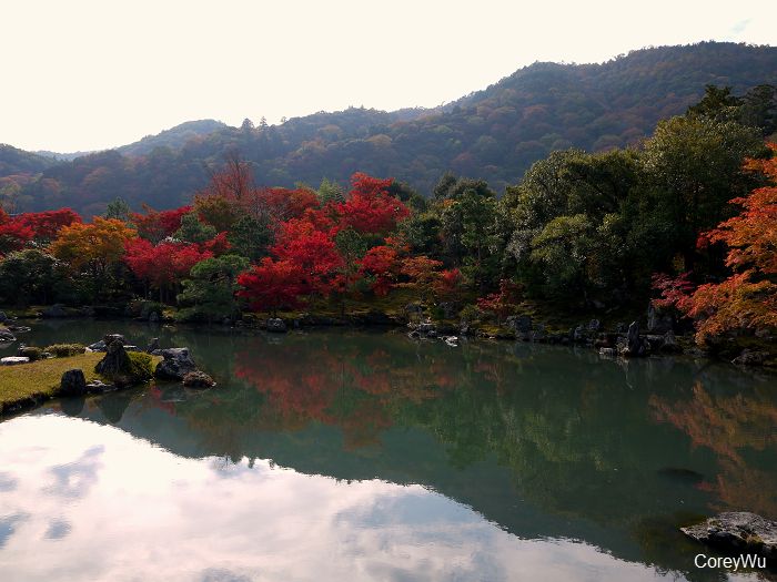 日本京都賞楓
