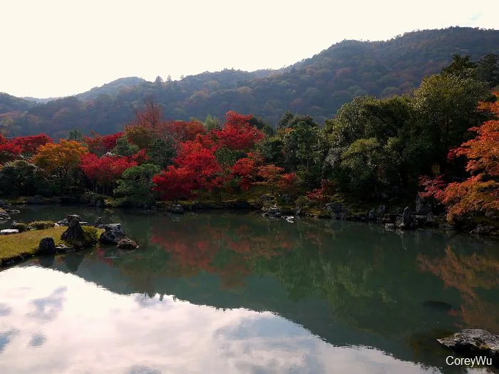 日本京都賞楓